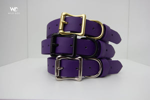 Purple 1" Collar