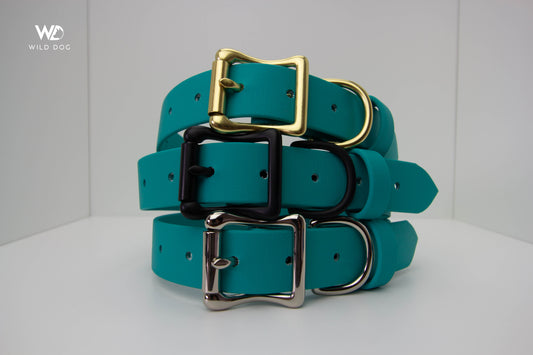 Teal 1" Collar