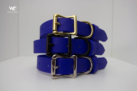 Deep Blue 1" Collar