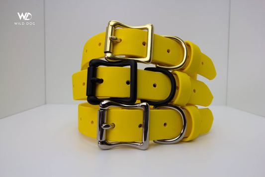 Yellow 1" Collar