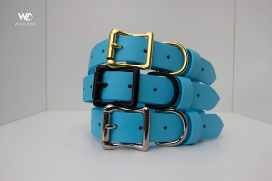 Sky Blue 1" Collar