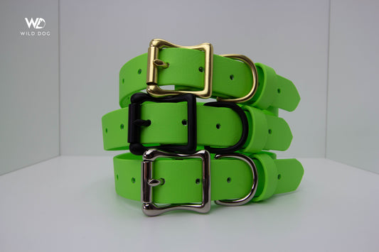 Apple Green 1" Collar