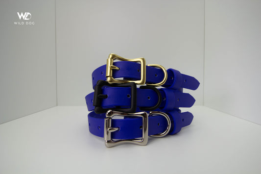 Deep Blue 3/4" Collar