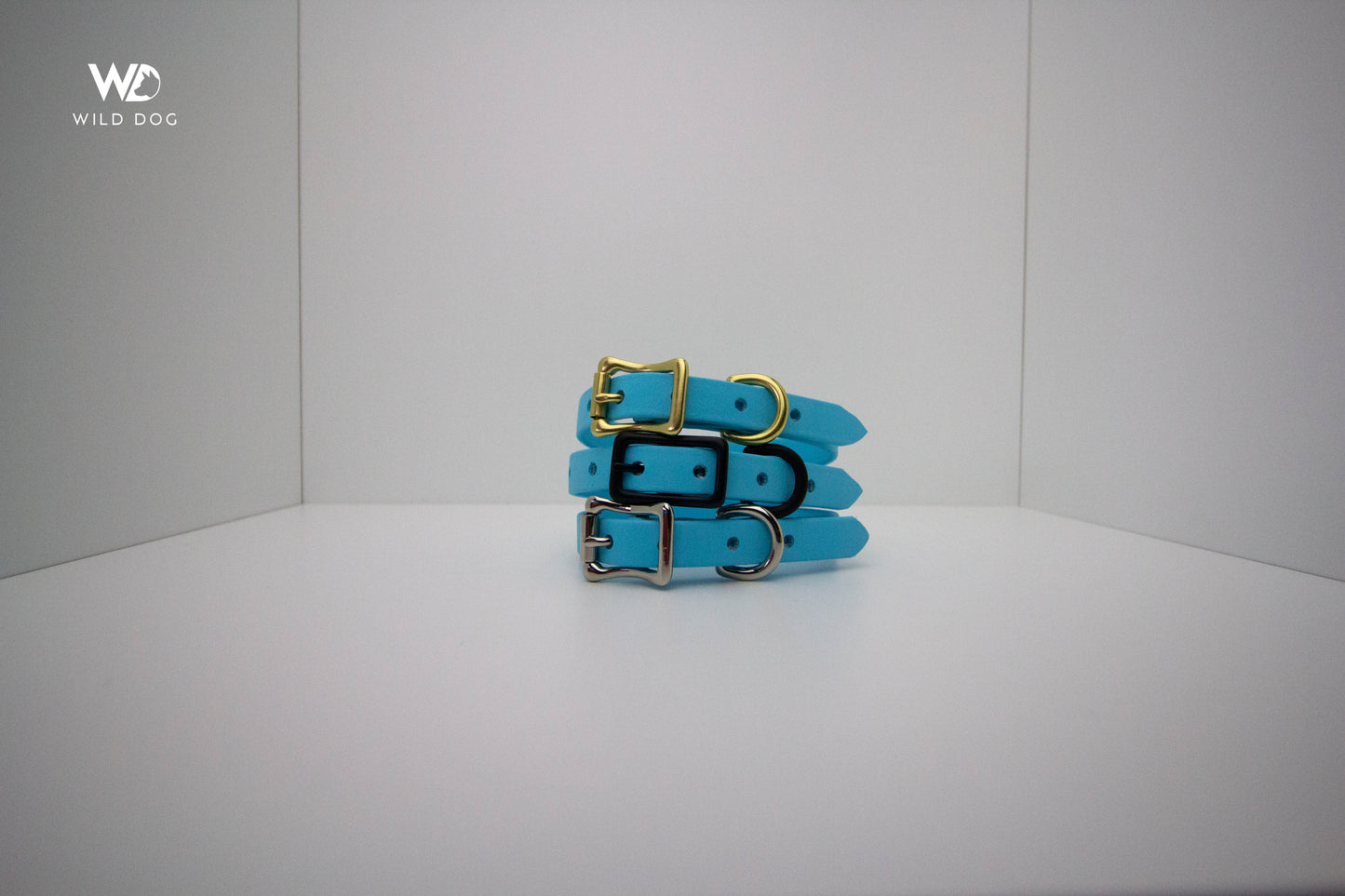 Sky Blue 1/2" Collar