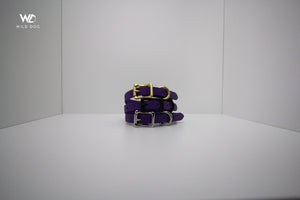 Purple 1/2" Collar