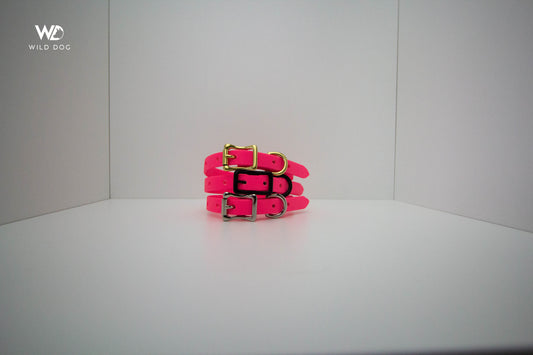 Fluro Pink 1/2" Collar