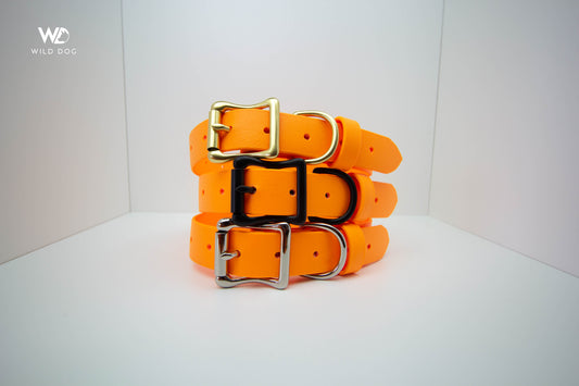 Orange 1" Collar