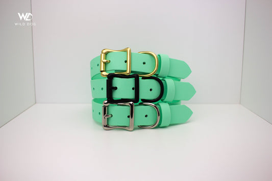 Mint Green 1" Collar