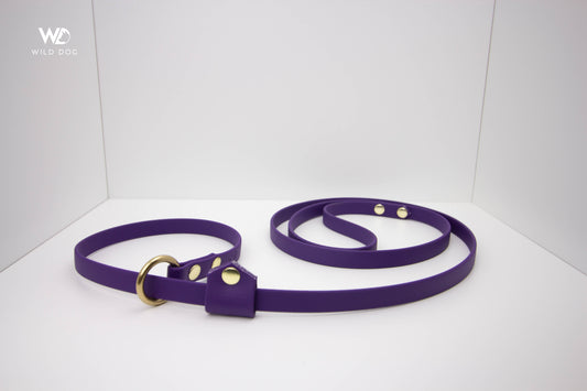 BioThane Slip Leash with Stopper