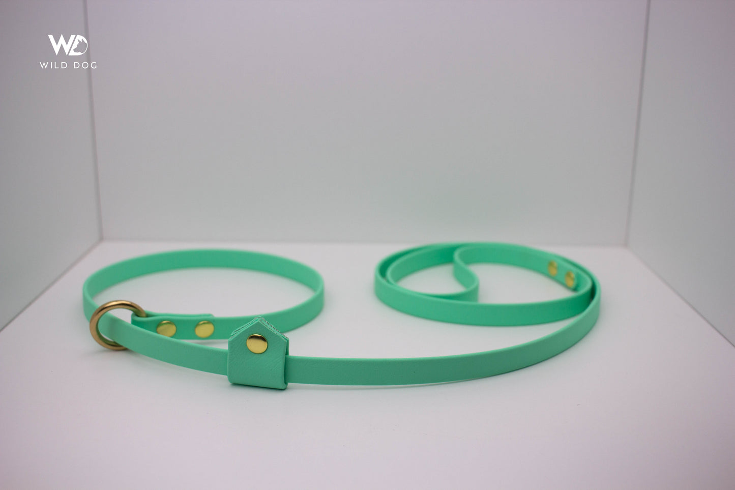 BioThane Slip Leash with Stopper