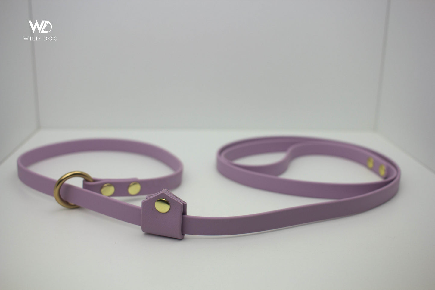 BioThane Slip Leash with Stopper