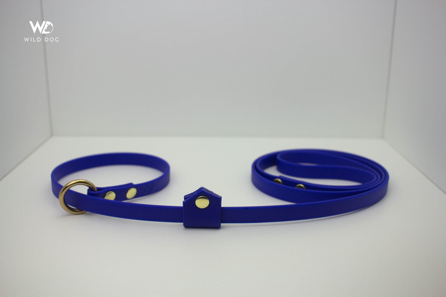 BioThane Slip Leash with Stopper