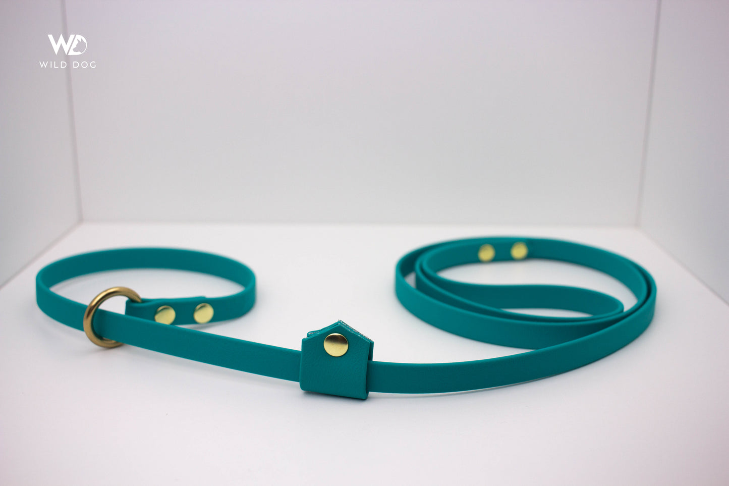 BioThane Slip Leash with Stopper