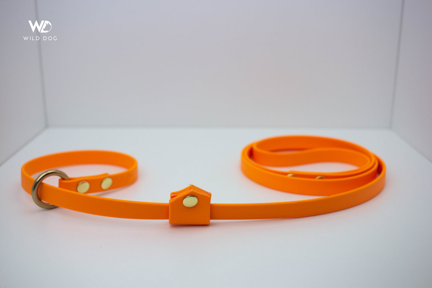 BioThane Slip Leash with Stopper