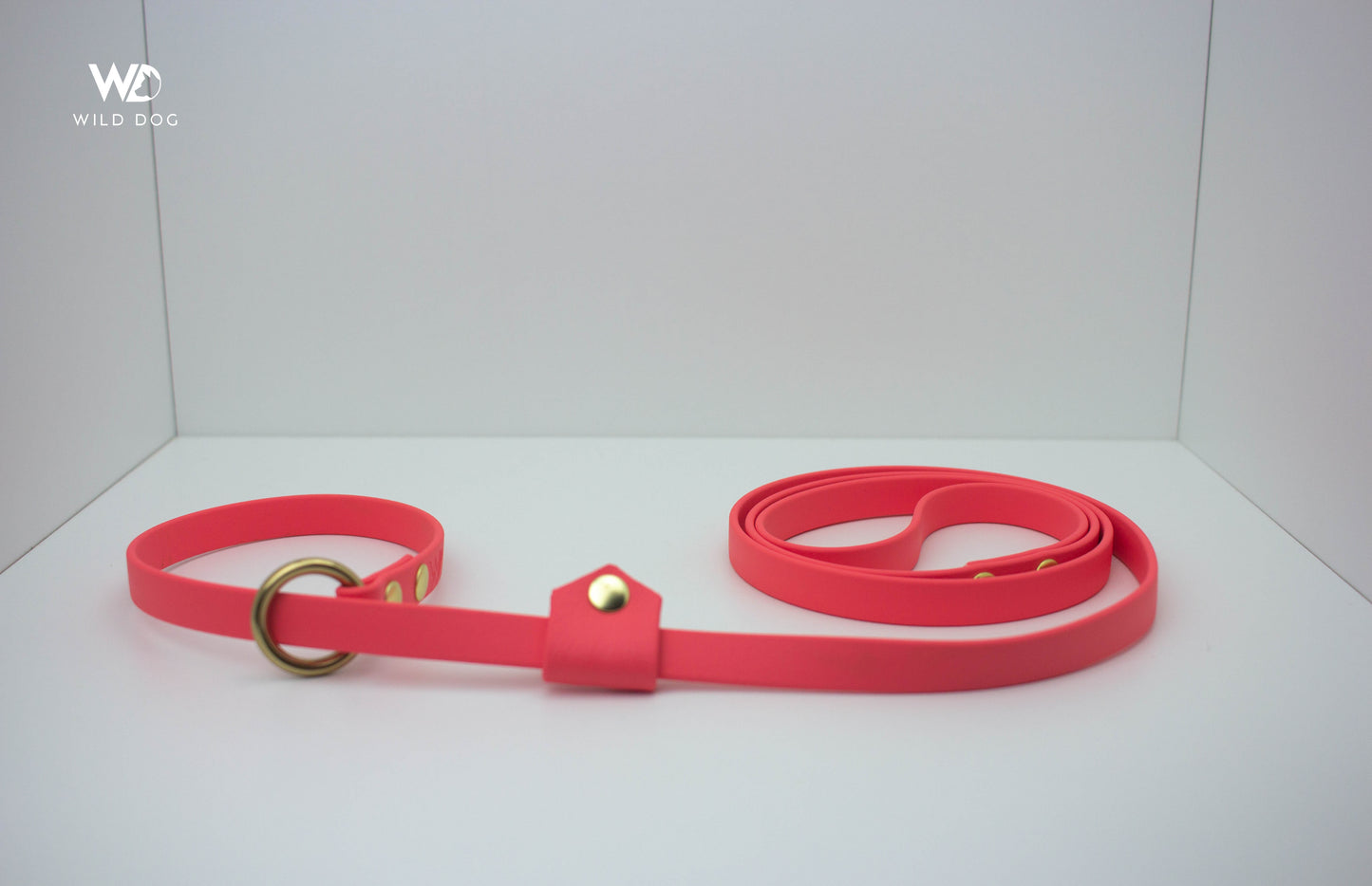 BioThane Slip Leash with Stopper