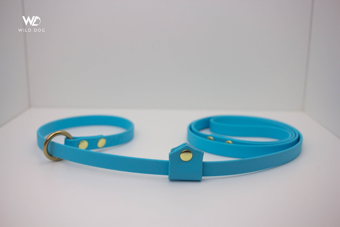 BioThane Slip Leash with Stopper