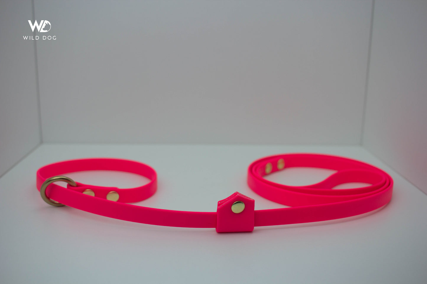 BioThane Slip Leash with Stopper