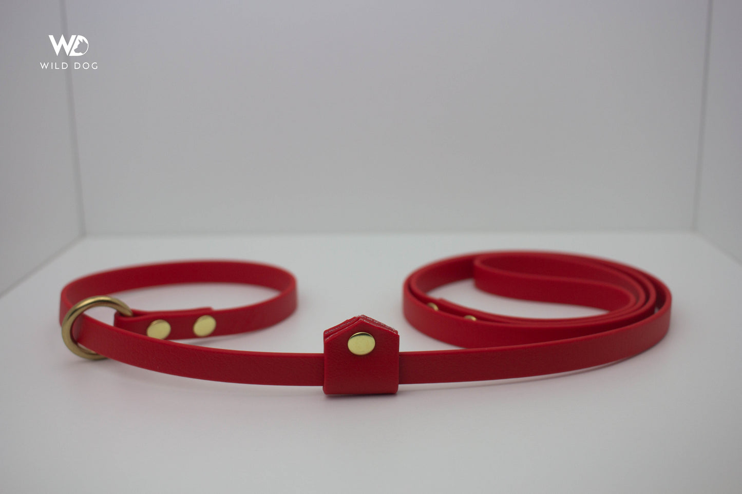 BioThane Slip Leash with Stopper